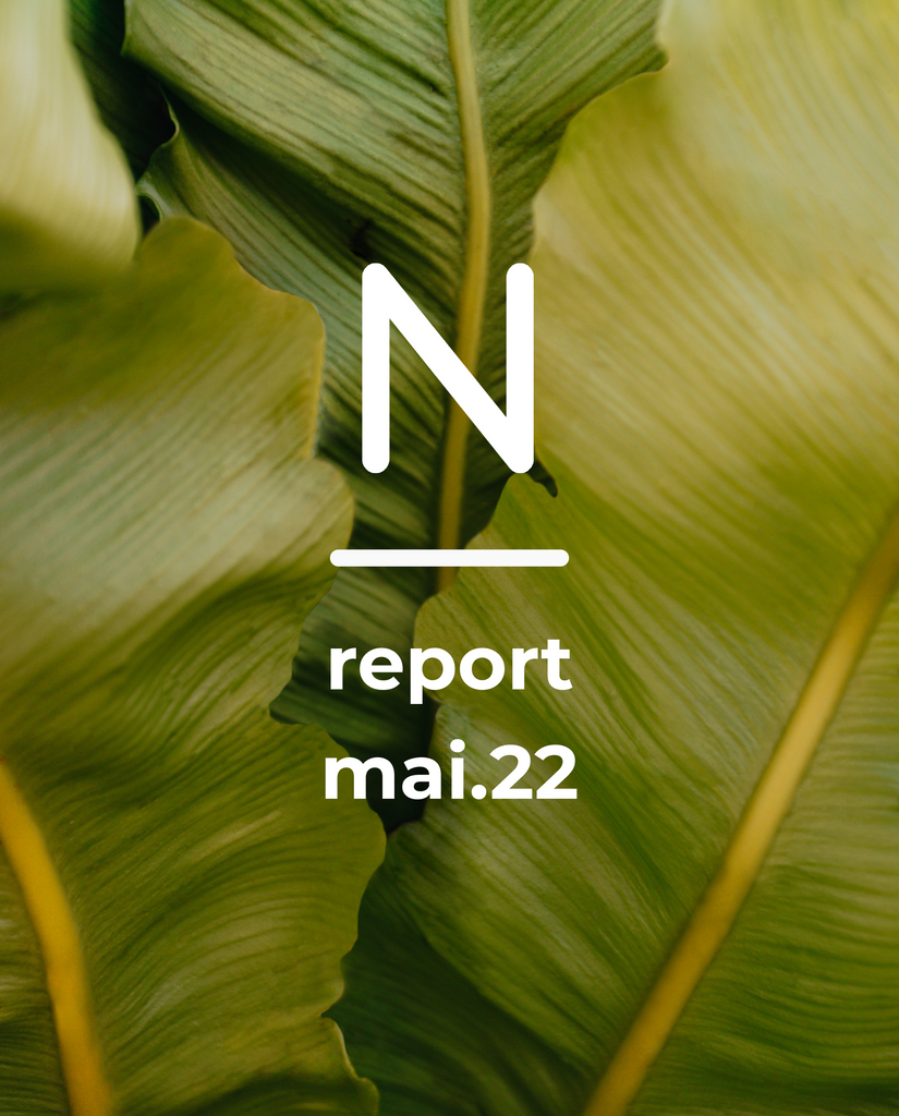 Report Mai.22