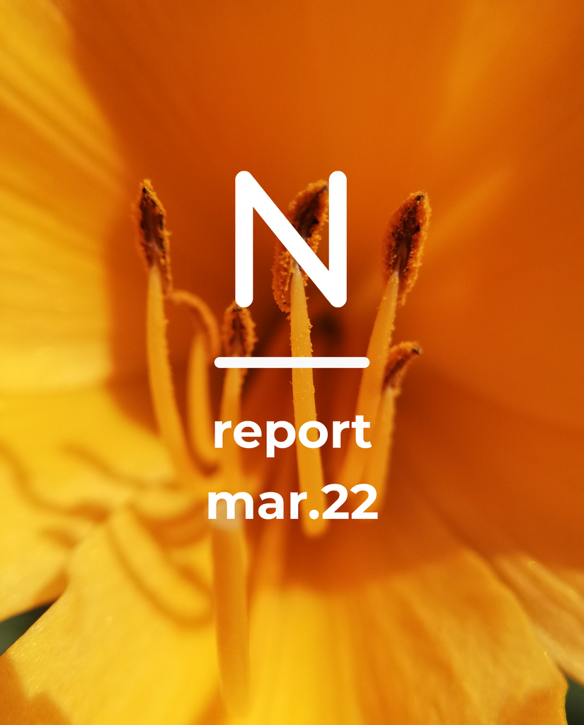 Report Mar.22