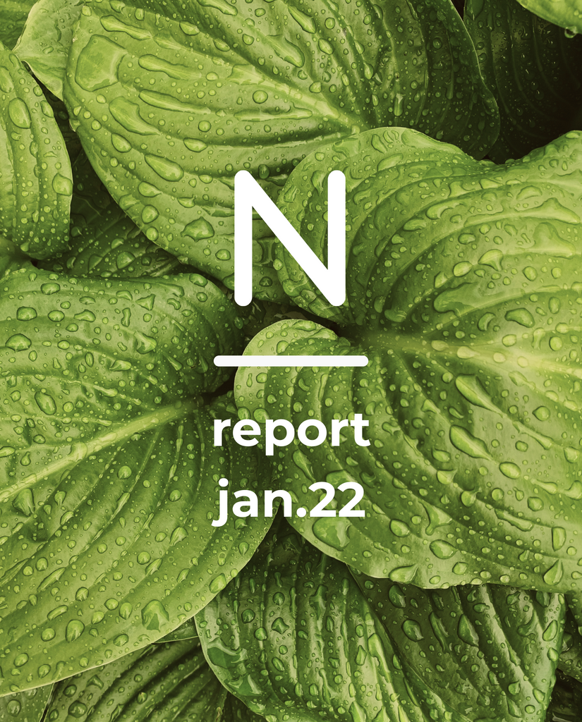 Report Jan.22
